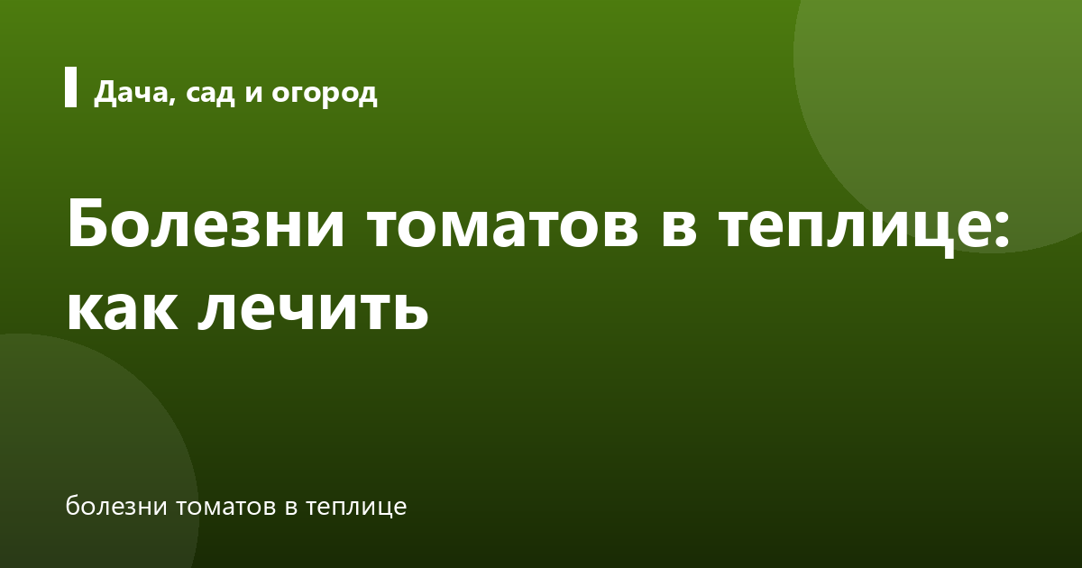 Болезни томатов в теплице: как лечить