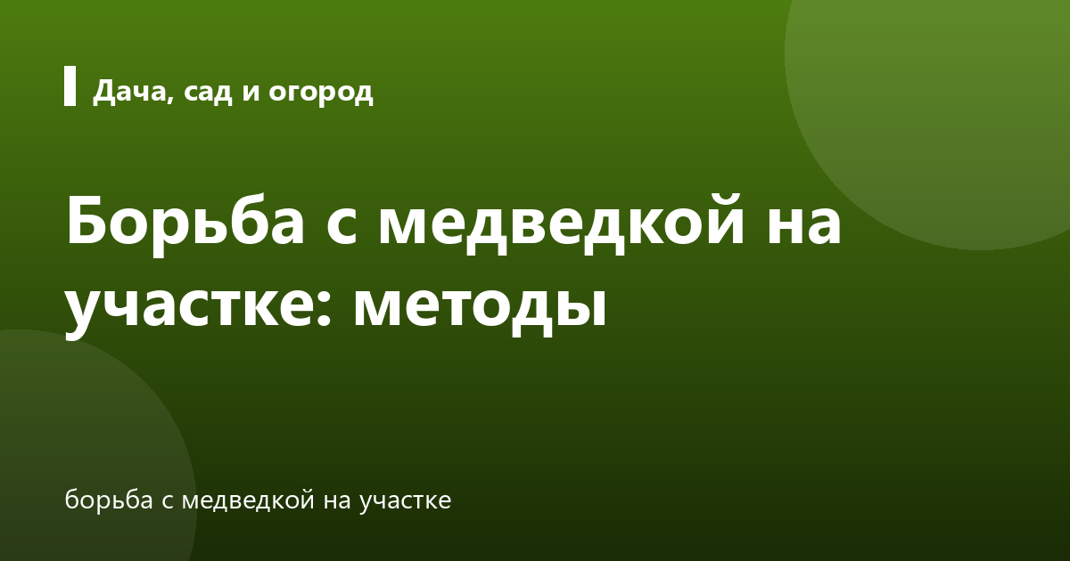 Борьба с медведкой на участке: методы