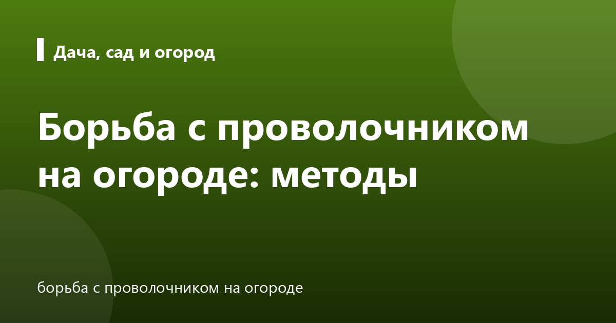 Борьба с проволочником на огороде: методы
