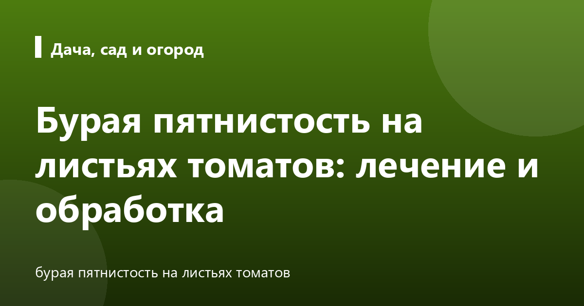 Бурая пятнистость на листьях томатов: лечение и обработка