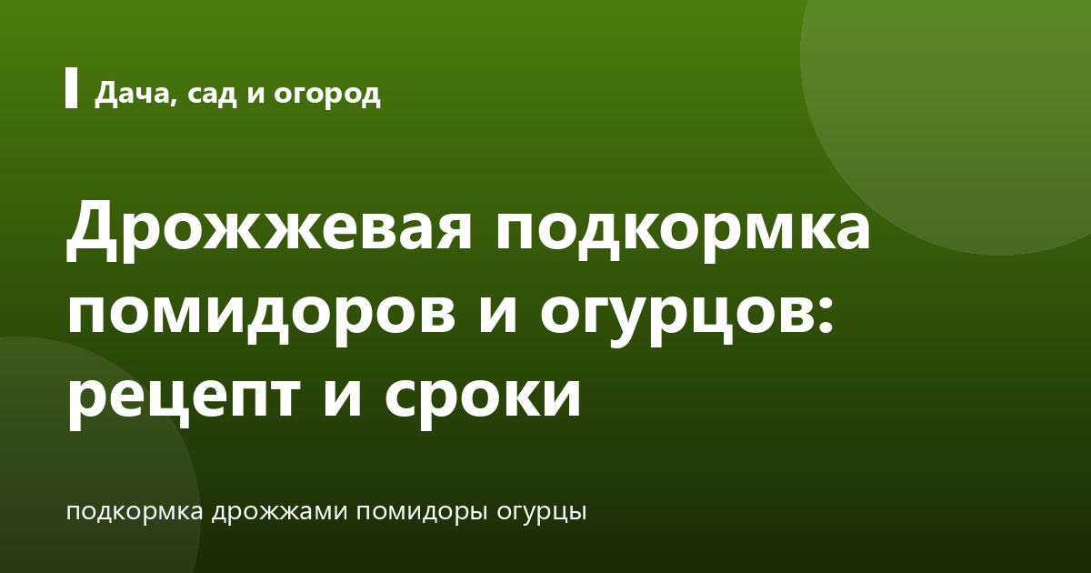 Дрожжевая подкормка помидоров и огурцов: рецепт и сроки
