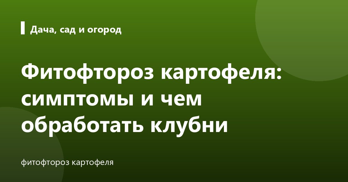 Фитофтороз картофеля: симптомы и чем обработать клубни
