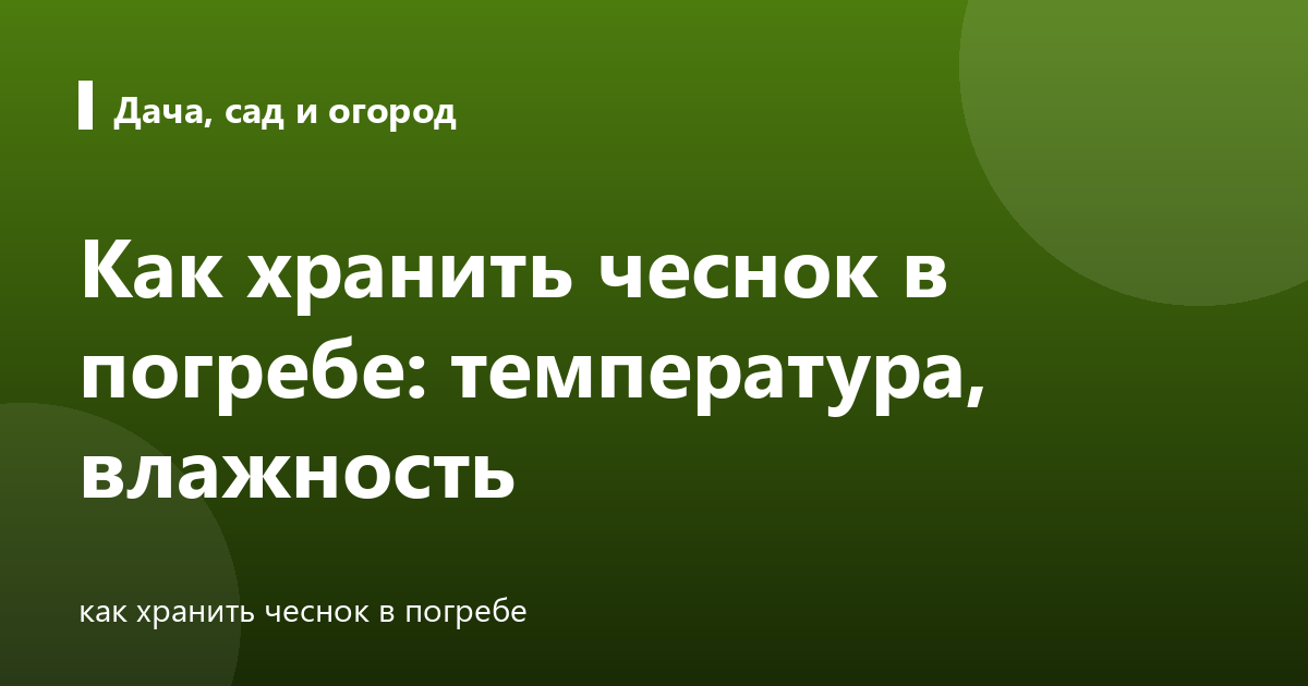 Как хранить чеснок в погребе: температура, влажность