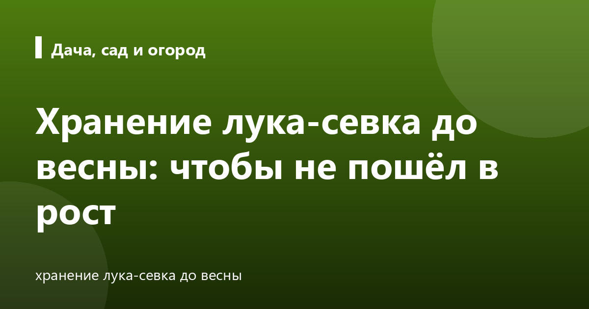 Хранение лука-севка до весны: чтобы не пошёл в рост