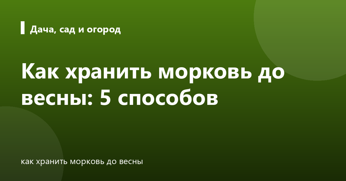 Как хранить морковь до весны: 5 способов
