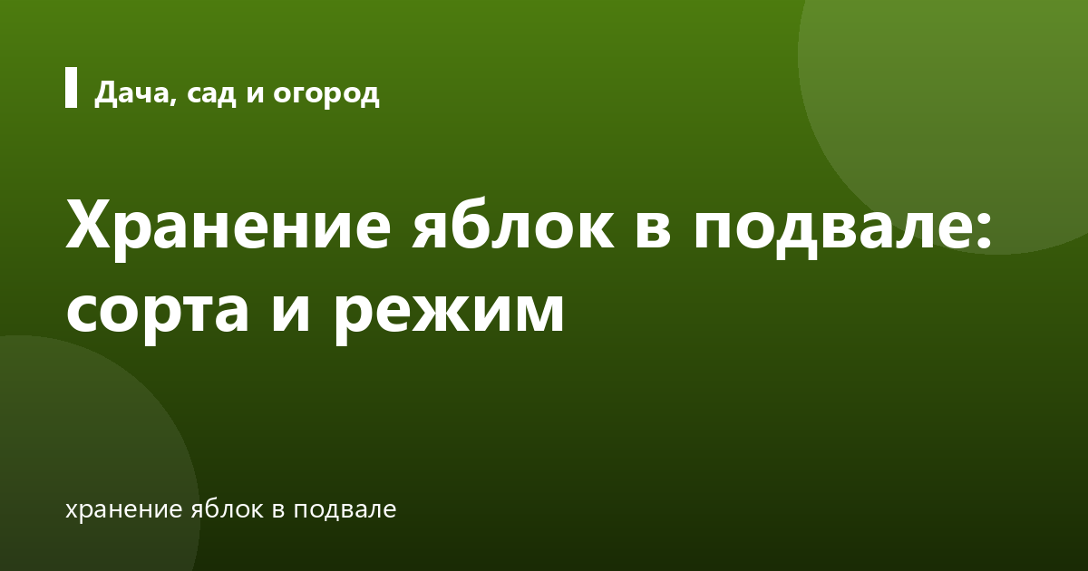 Хранение яблок в подвале: сорта и режим