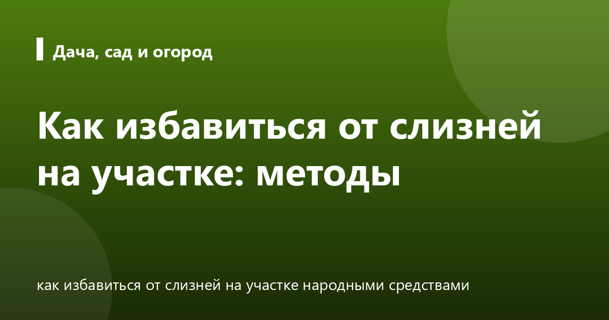 Как избавиться от слизней на участке: методы