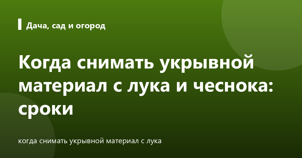 Когда снимать укрывной материал с лука и чеснока: сроки