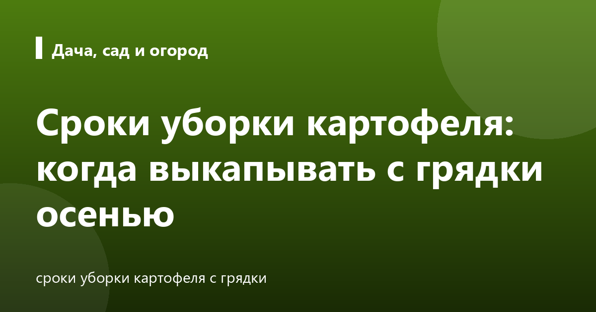 Сроки уборки картофеля: когда выкапывать с грядки осенью