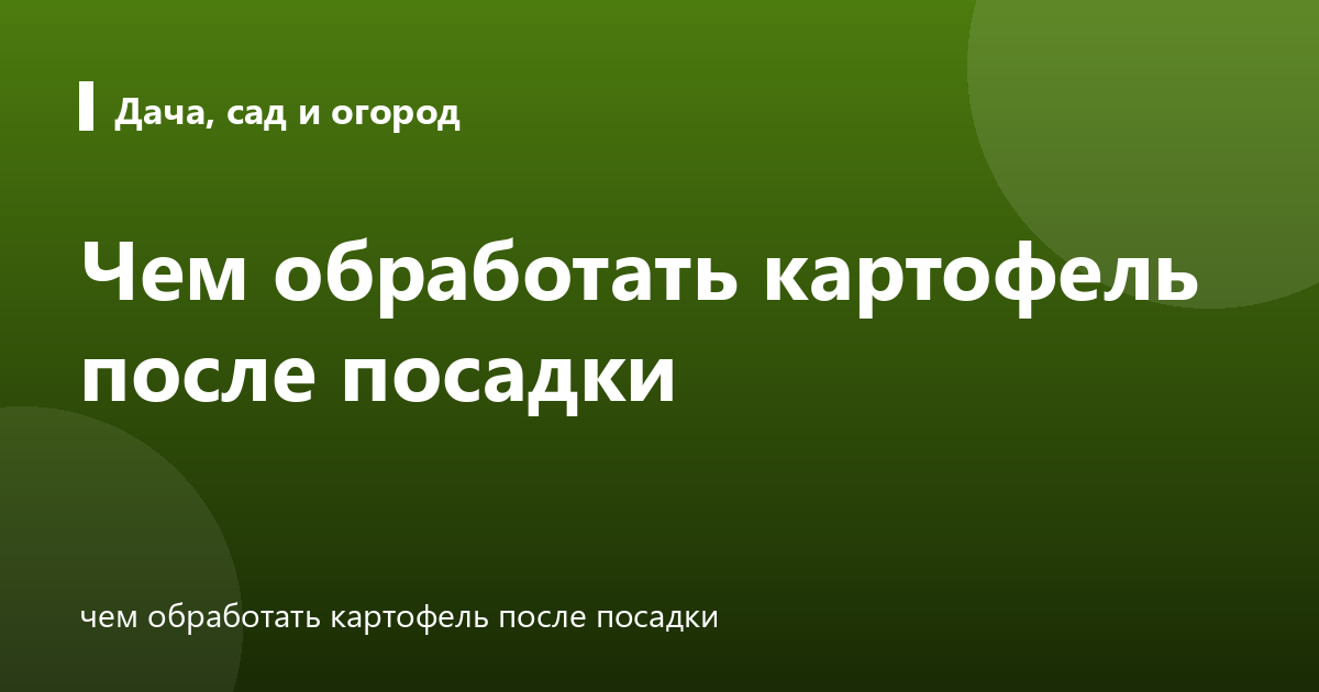 Чем обработать картофель после посадки