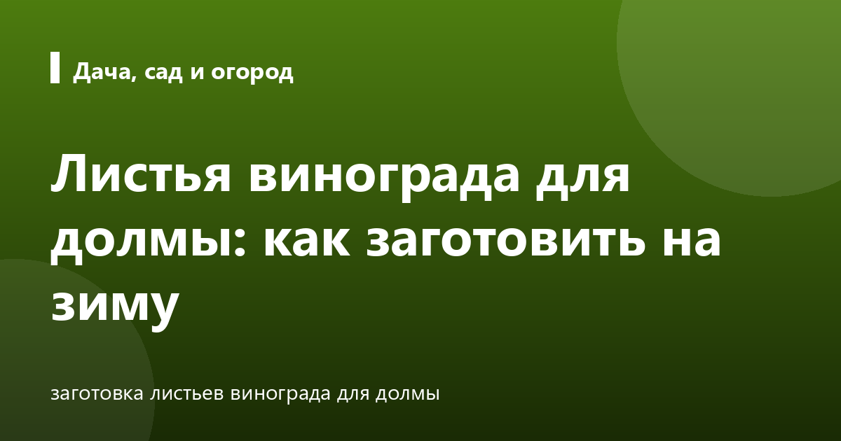 Листья винограда для долмы: как заготовить на зиму