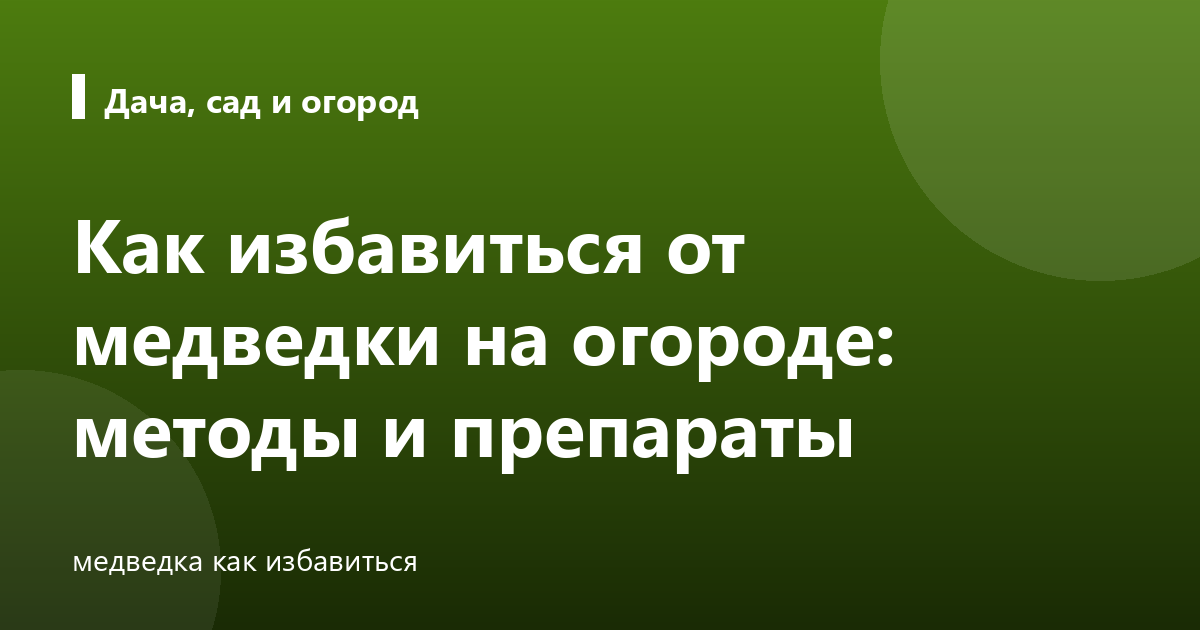 Как избавиться от медведки на огороде: методы и препараты