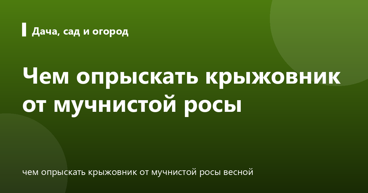 Чем опрыскать крыжовник от мучнистой росы