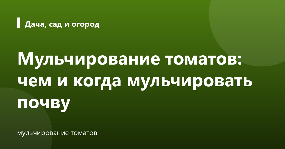 Мульчирование томатов: чем и когда мульчировать почву