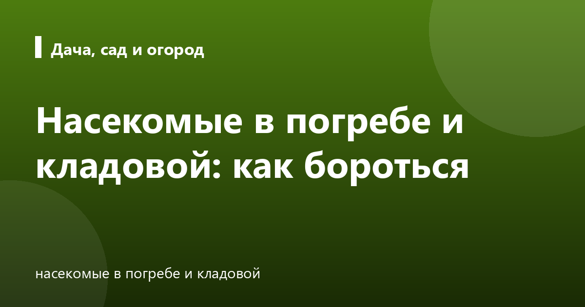 Насекомые в погребе и кладовой: как бороться