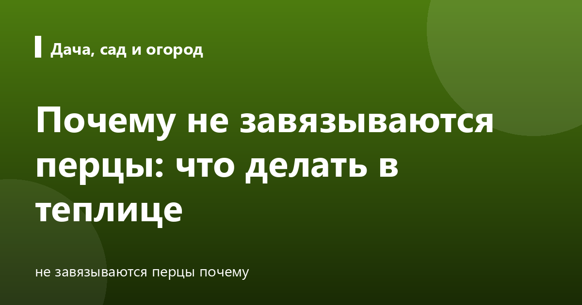 Почему не завязываются перцы: что делать в теплице