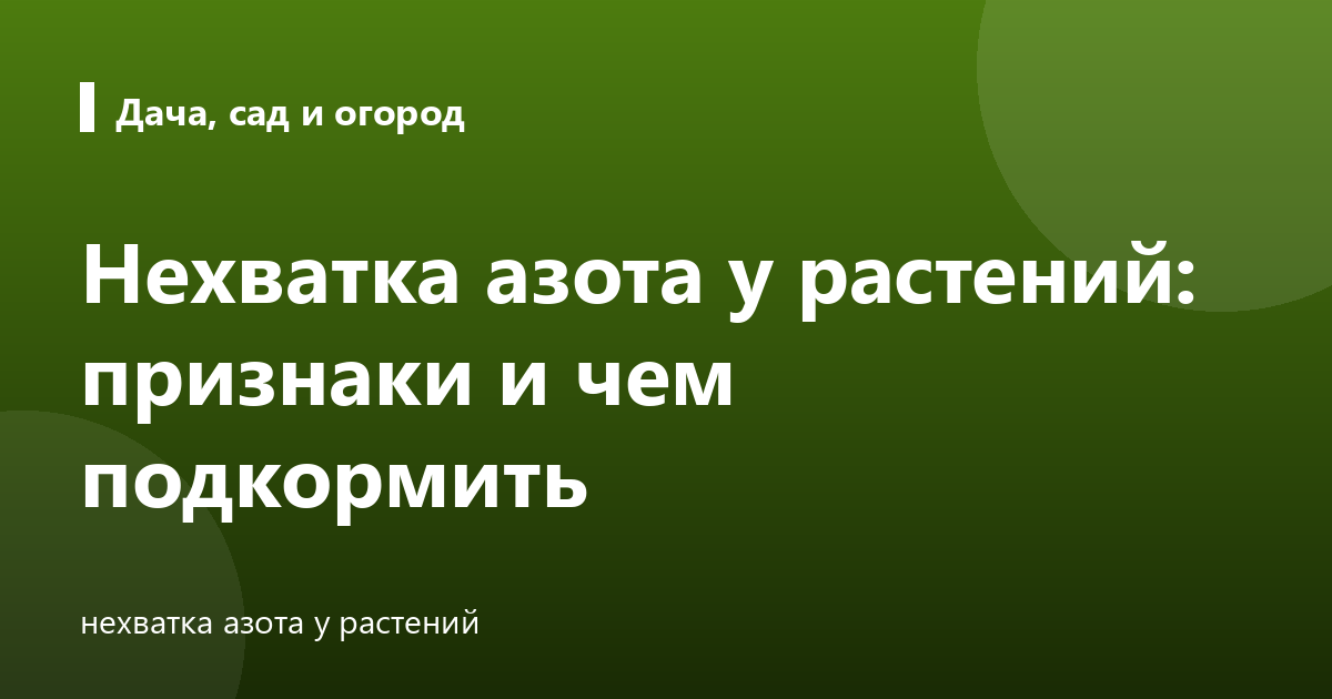 Нехватка азота у растений: признаки и чем подкормить
