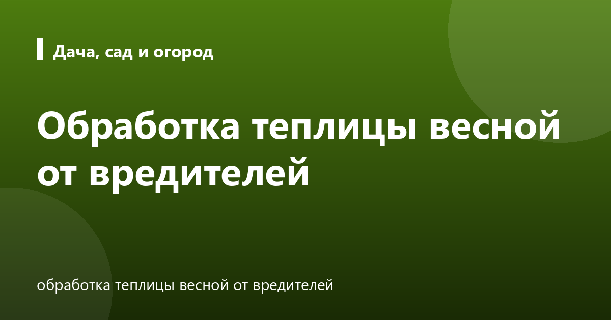 Обработка теплицы весной от вредителей