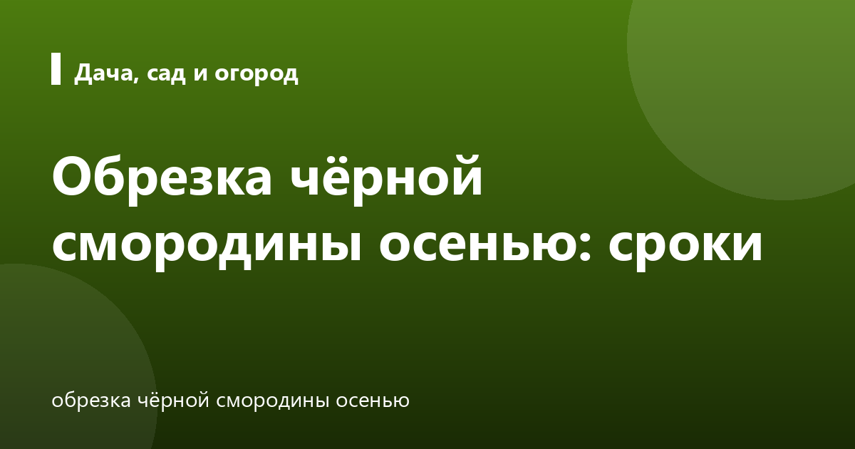 Обрезка чёрной смородины осенью: сроки