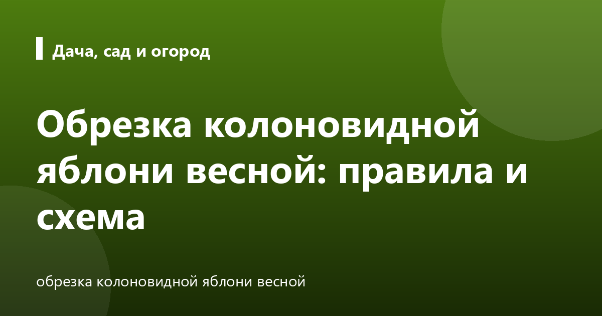 Обрезка колоновидной яблони весной: правила и схема
