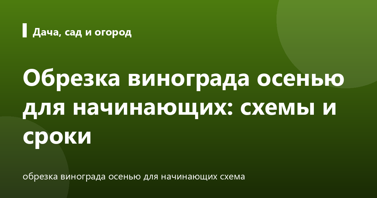 Обрезка винограда осенью для начинающих: схемы и сроки