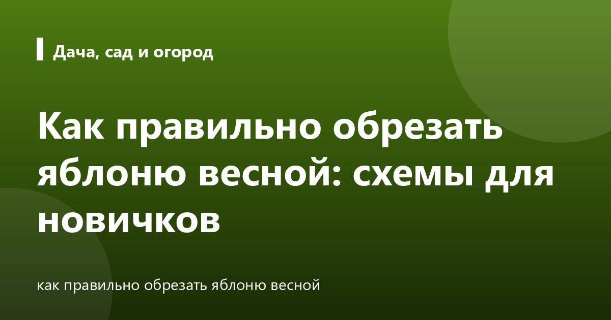 Как правильно обрезать яблоню весной: схемы для новичков