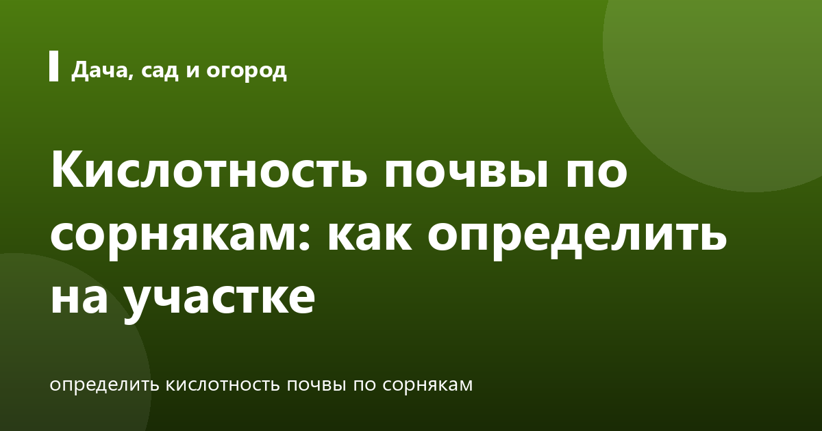 Кислотность почвы по сорнякам: как определить на участке