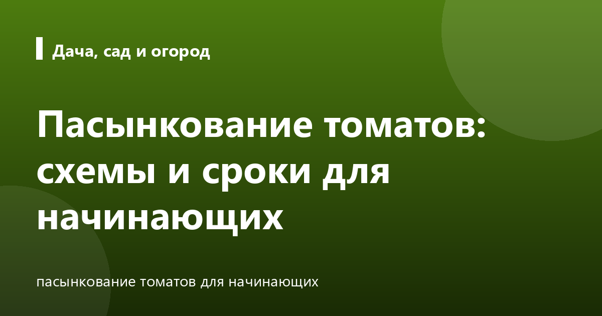 Пасынкование томатов: схемы и сроки для начинающих