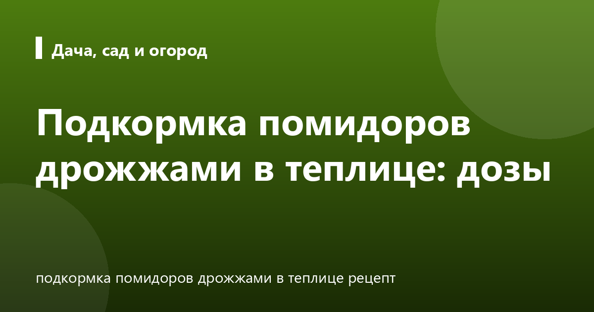Подкормка помидоров дрожжами в теплице: дозы