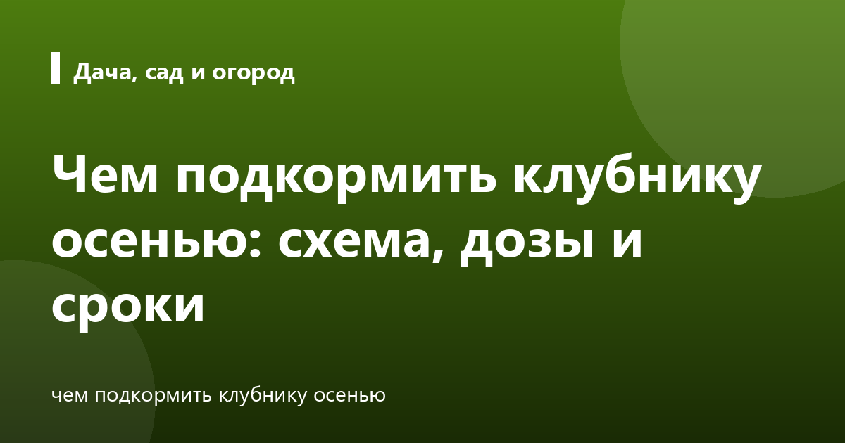 Чем подкормить клубнику осенью: схема, дозы и сроки