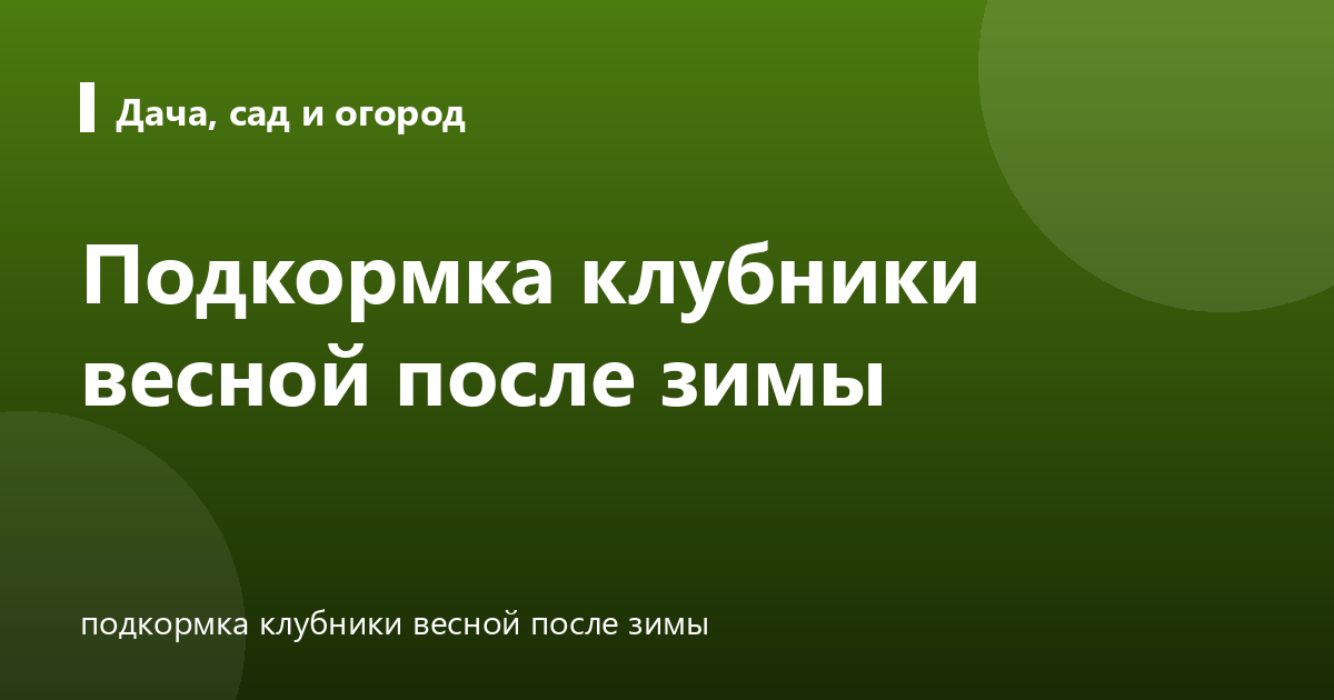 Подкормка клубники весной после зимы