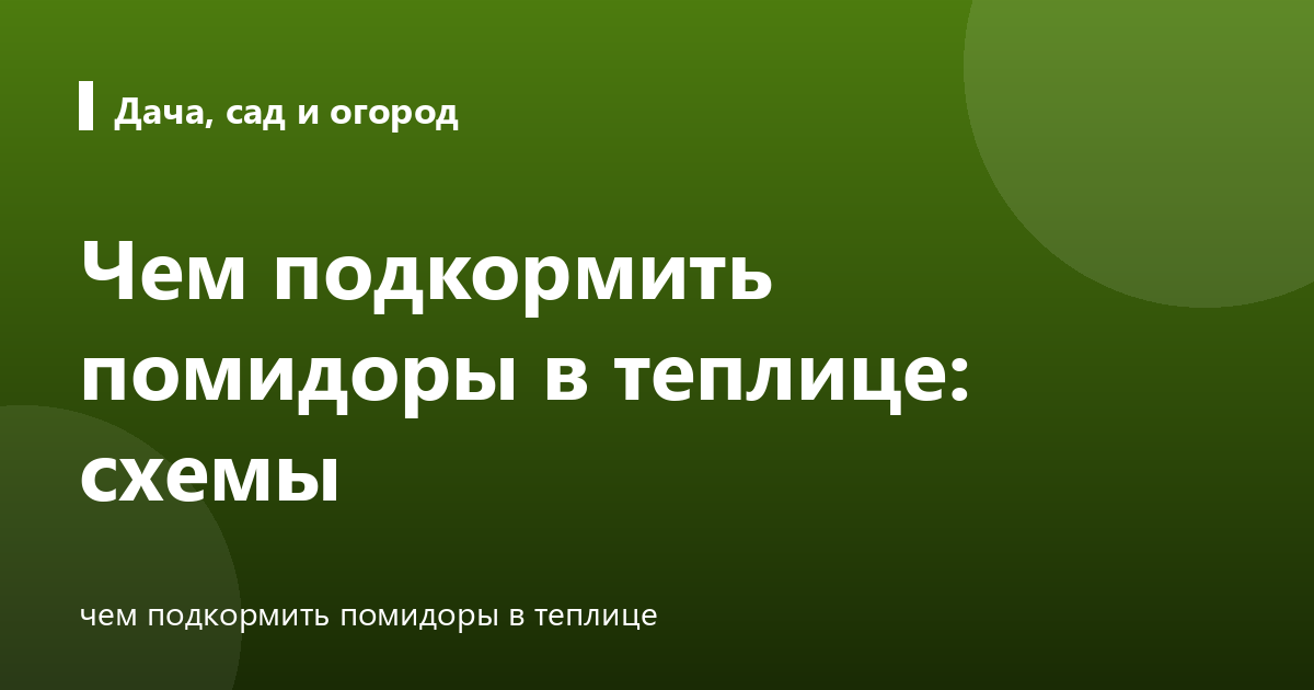 Чем подкормить помидоры в теплице: схемы
