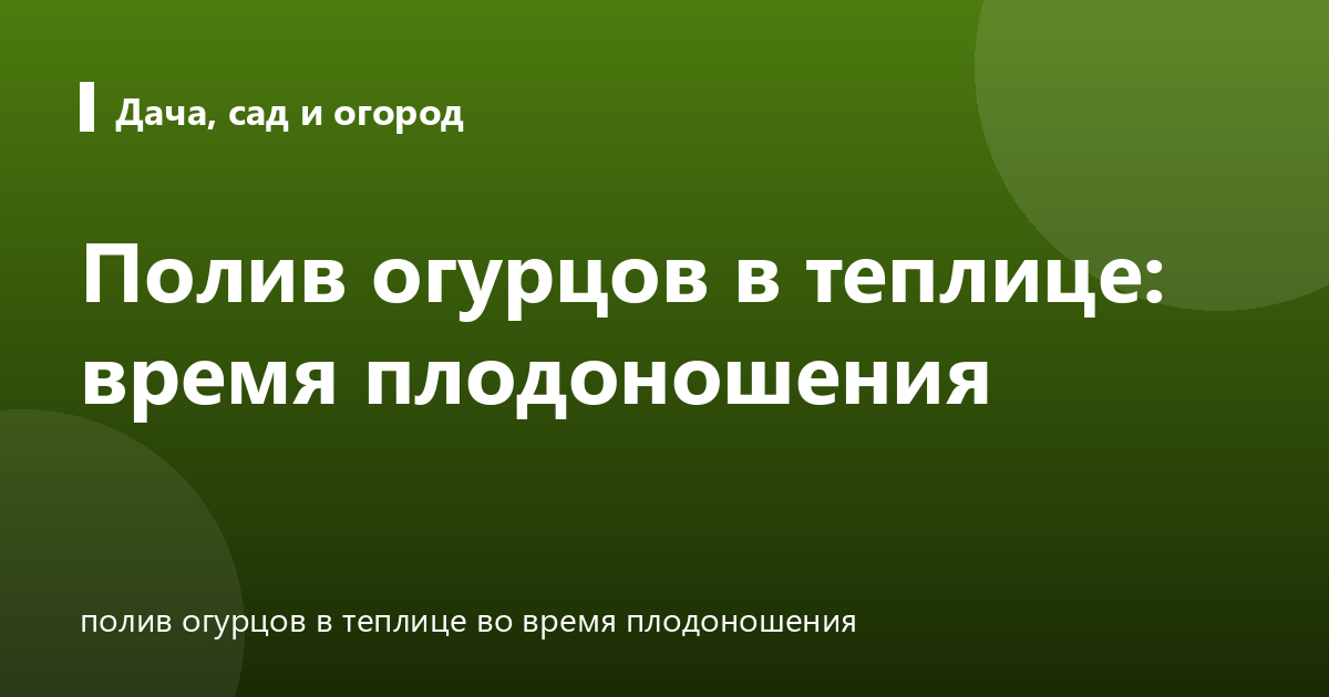 Полив огурцов в теплице: время плодоношения