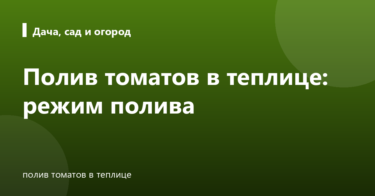 Полив томатов в теплице: режим полива