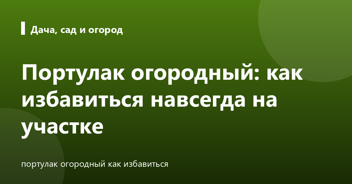 Портулак огородный: как избавиться навсегда на участке