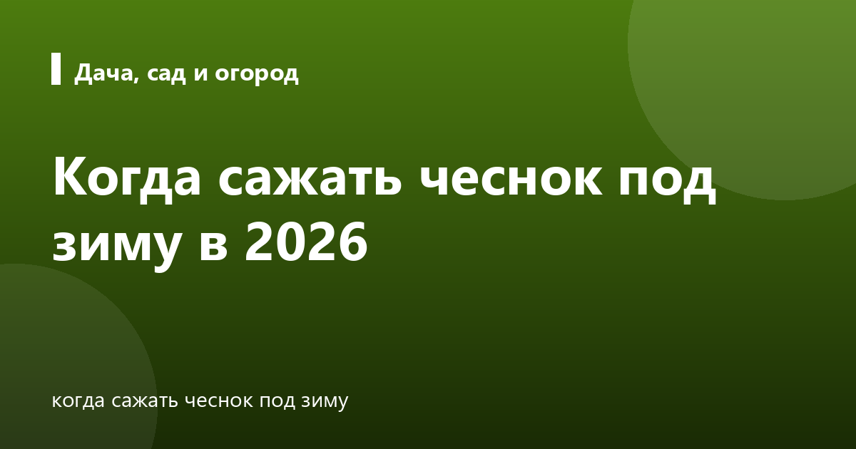 Когда сажать чеснок под зиму в 2026