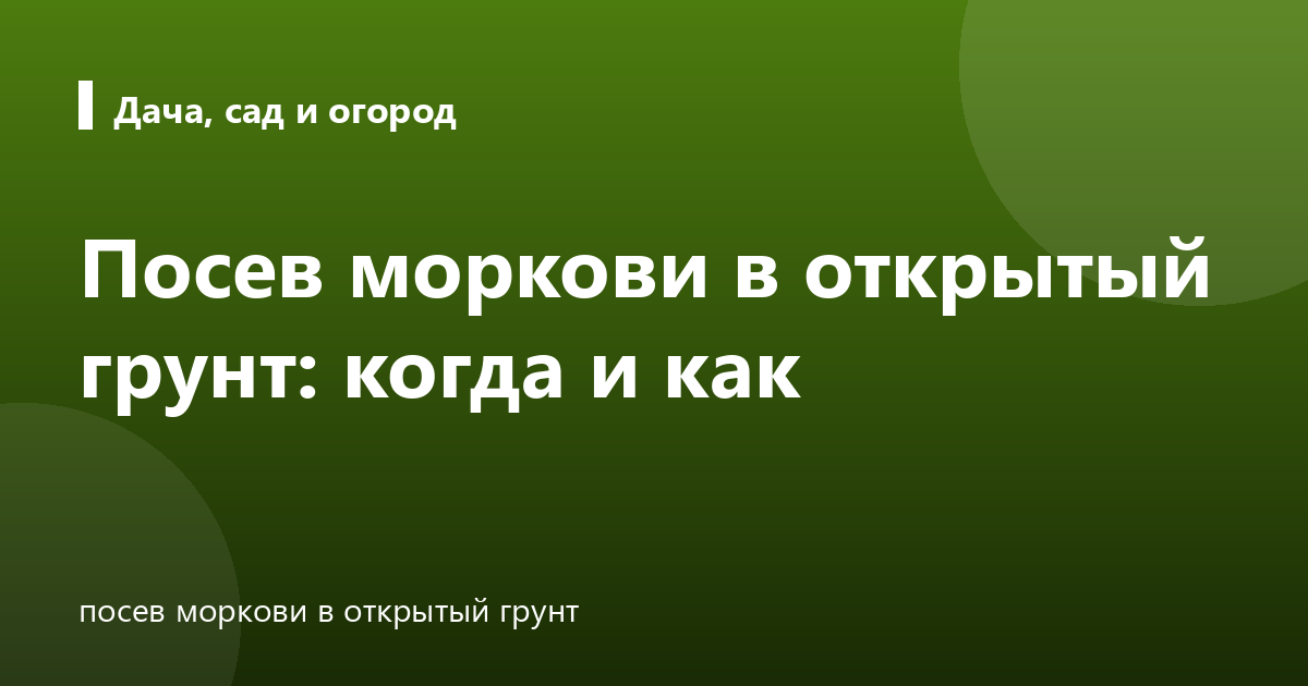 Посев моркови в открытый грунт: когда и как