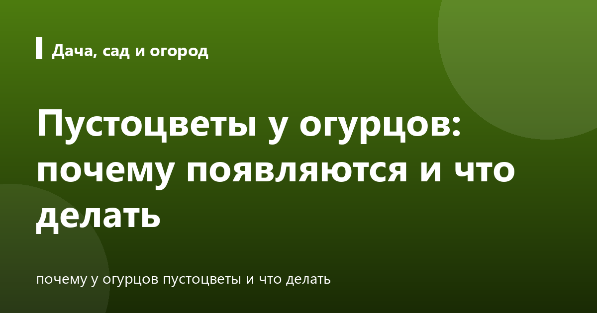 Пустоцветы у огурцов: почему появляются и что делать
