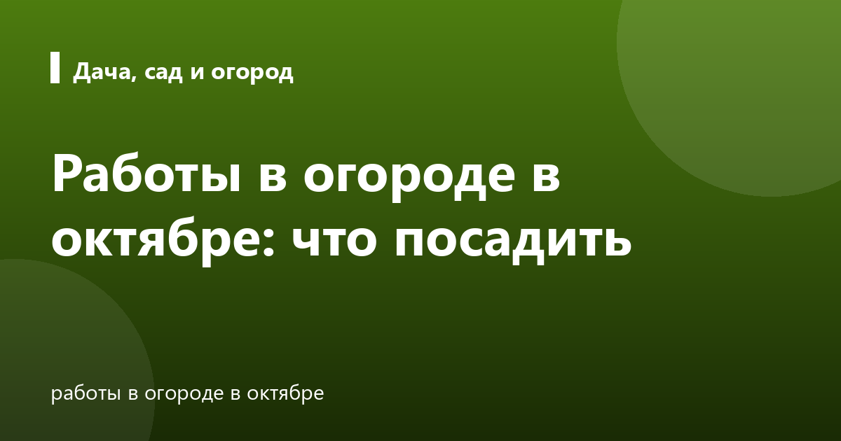 Работы в огороде в октябре: что посадить