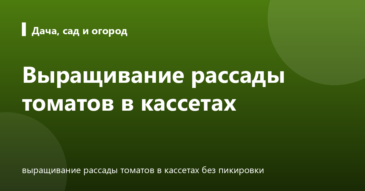 Выращивание рассады томатов в кассетах