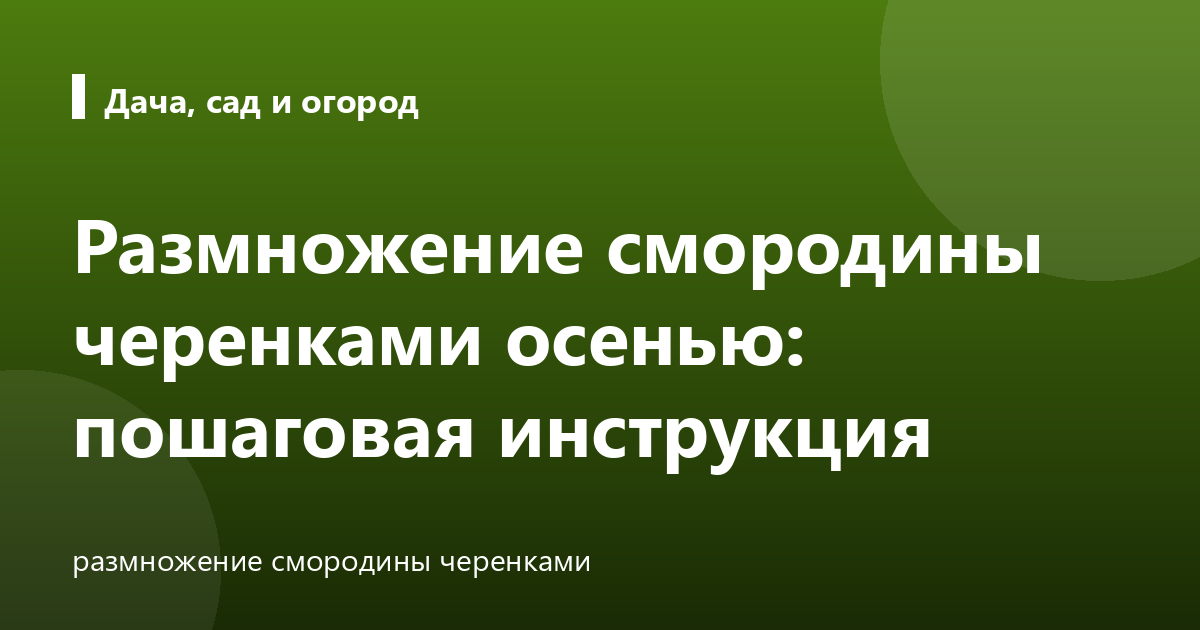 Размножение смородины черенками осенью: пошаговая инструкция