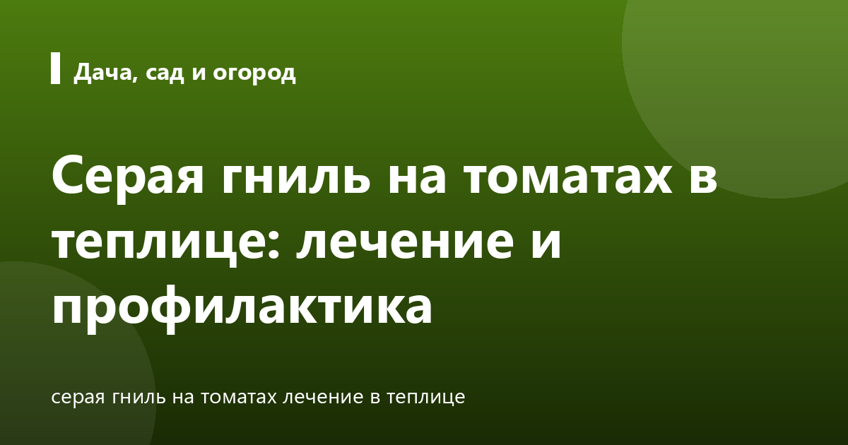 Серая гниль на томатах в теплице: лечение и профилактика