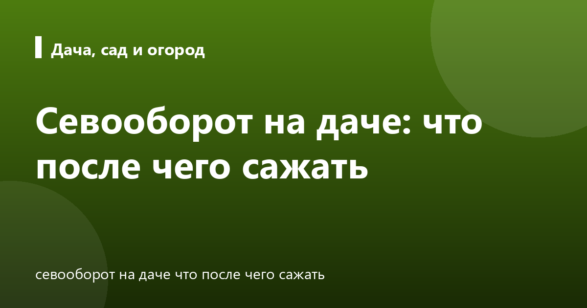 Севооборот на даче: что после чего сажать
