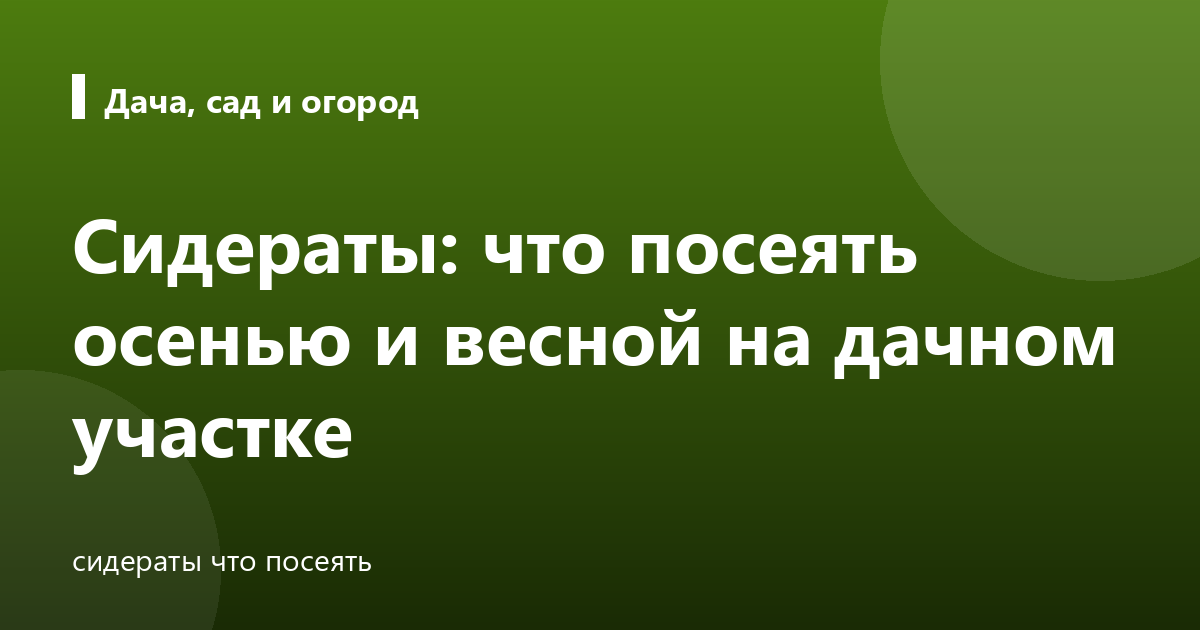 Сидераты: что посеять осенью и весной на дачном участке