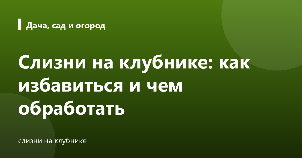 Слизни на клубнике: как избавиться и чем обработать