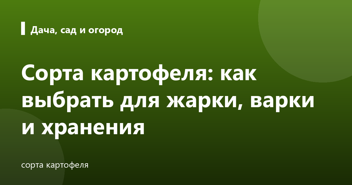 Сорта картофеля: как выбрать для жарки, варки и хранения