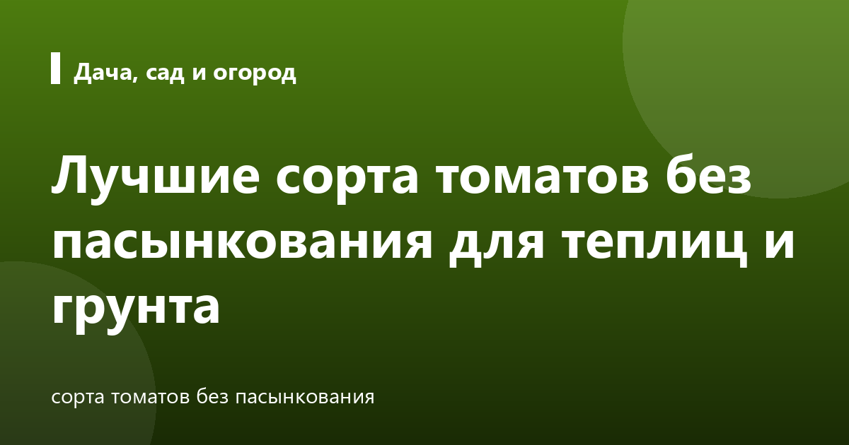 Лучшие сорта томатов без пасынкования для теплиц и грунта