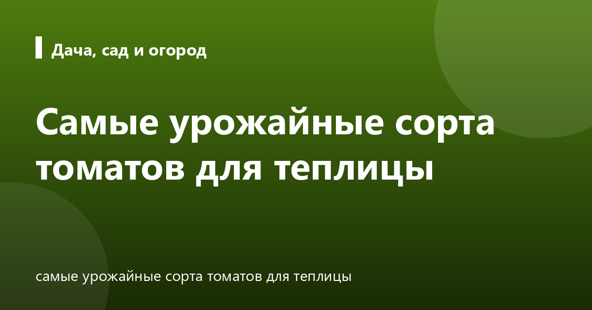 Самые урожайные сорта томатов для теплицы