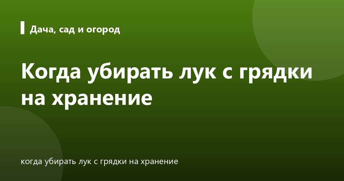 Когда убирать лук с грядки на хранение