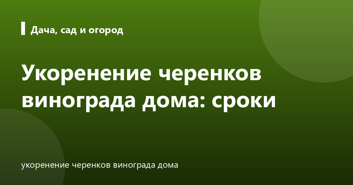 Укоренение черенков винограда дома: сроки